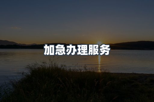 加急办理服务